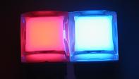 Backlit E-Switch